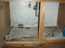 Bathroom Mold Problem - Before Mold Remediation | EMS | Chino, CA